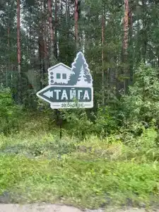 Тайга - 27