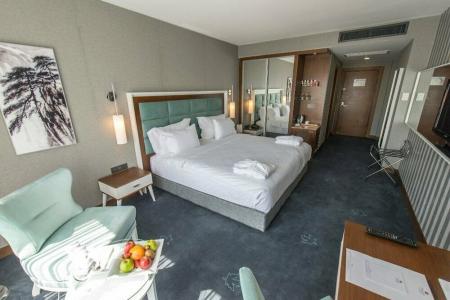 Premier Inn Sakarya - 30