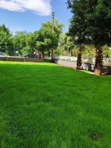 El Mundo Suites - 42