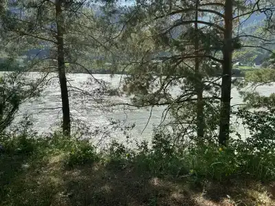 Лаванда - 19