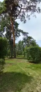 Пансионат с лечением Репное - 27