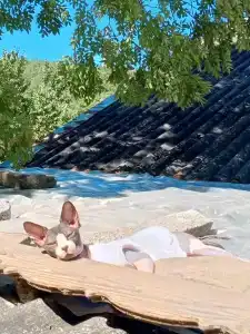 Счастливое Village - 38