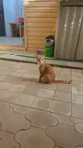 Морское Небо - 42