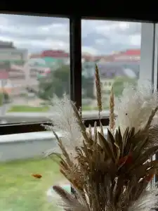 The Basilian Minsk, Curio Collection By Hilton - 46