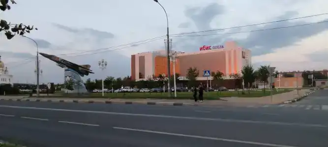 Ибис - 33
