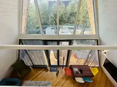 Семейный парк Озеро - 20