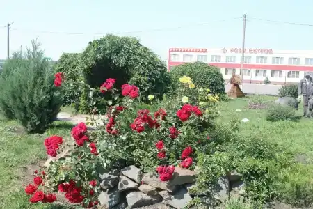 Роза ветров - 33