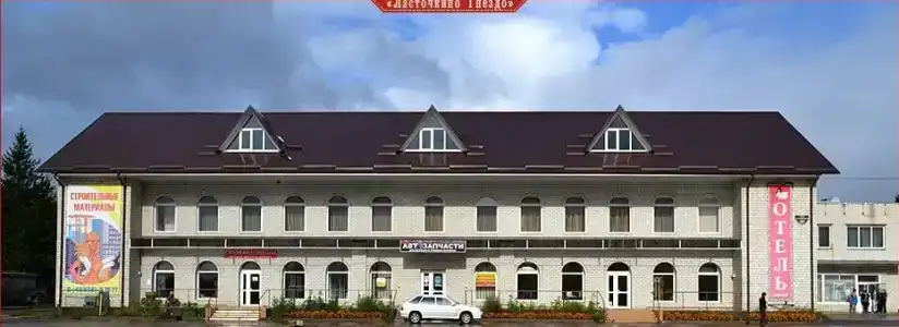 Ласточкино гнездо - 0