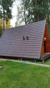 Хвойный Лес - 74