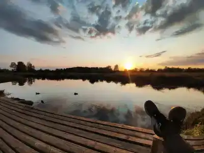 Челмужская усадьба - 55