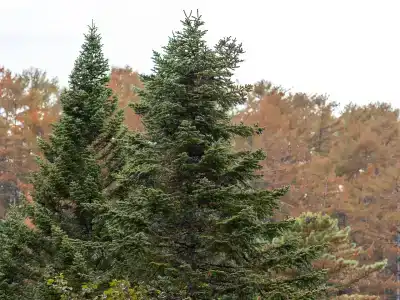 Горячий ключ - 97