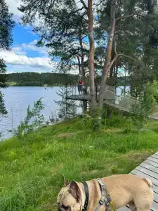 Karelia Love Glamping - 24