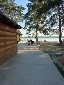 Муранский бор - 29