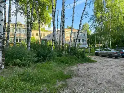 Светлана - 4