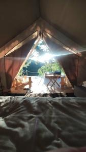 Микли-Ольгино - 80