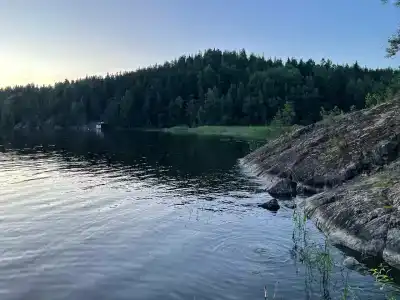 Villy Uley Karelia (Вили Улей Карелия) - 64