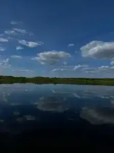 Лейк лайф - 29