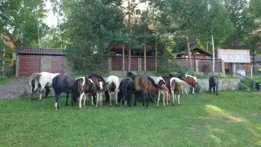 Маяк - 9