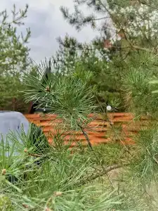 Сосенки Lounge - 22