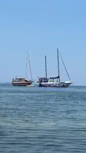 Рубин - 26