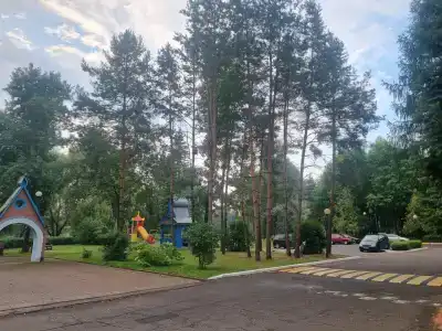 Пралеска - 32