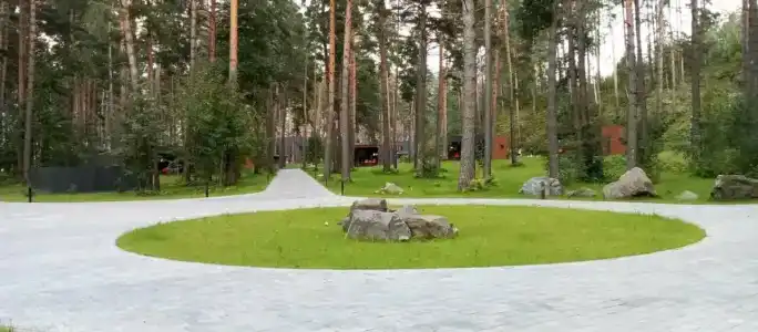 Пихта - 8