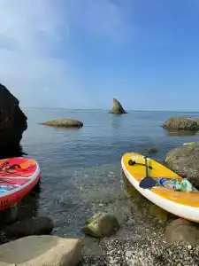 Астерия Меганом - 11