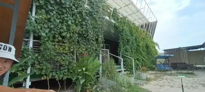 Паруса - 3