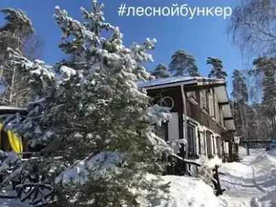 Лесной Бункер - 41