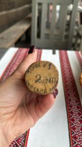 Беловежское Поместье - 54