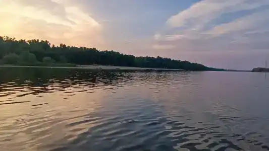 Лес и Рыба - 1