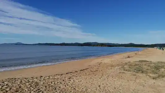Золотые пески - 28