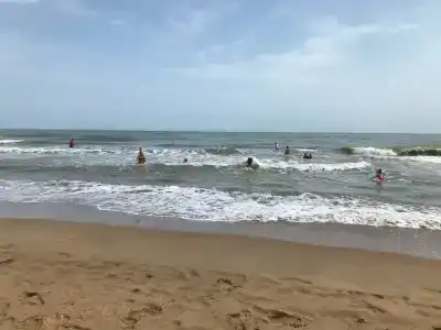 Электра Холидей - 39