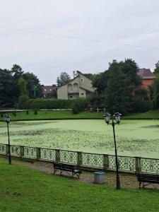 Современная студия Голубая с ванной у озера - 90