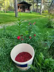 Семиозерье - 21