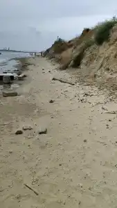 Звезда Тамани - 12