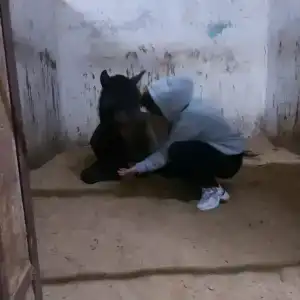 Ёлочки - 8