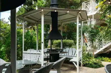 Розмарин - 10