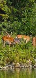 Гранд Усадьба - 16