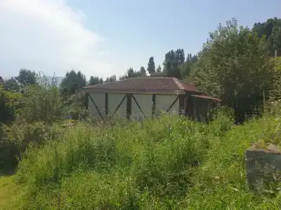 Земляничная - 12