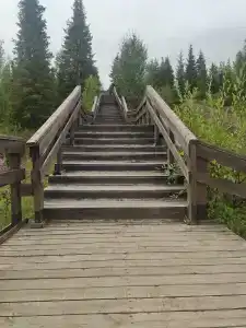 приезжих - 6