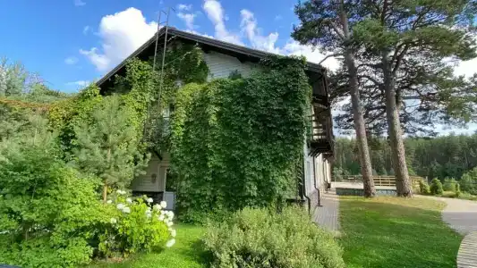 Villa Vitele - 42