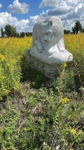 Золотой Город - 95