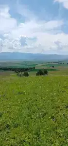 Белый Алтай - 25