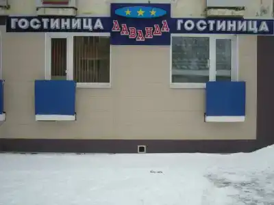 Лаванда - 33
