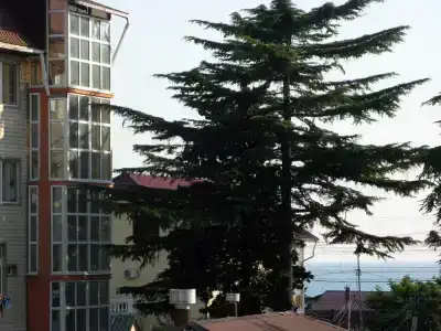 Свирский Пляж - 47