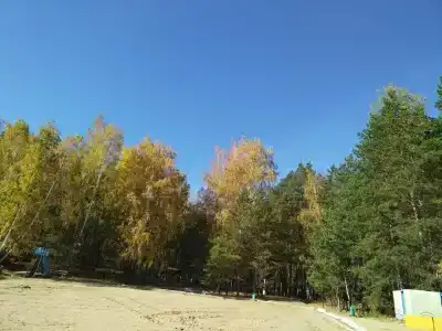 Лесная сказка - 66