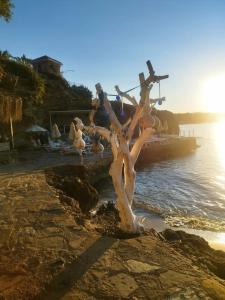 Utopia Beach Club - 22
