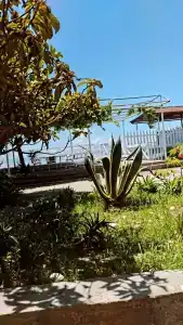 Villa ARGO - 8