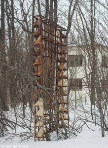 Дубки - 13